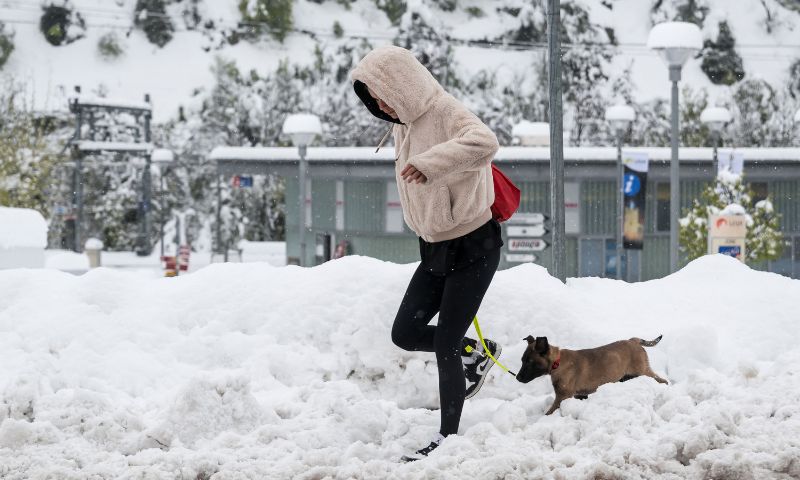 Snowstorm