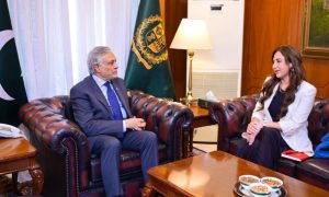 India, Pakistan, US, United States, Pahalgam, Kashmir, Marco Rubio, Ishaq Dar, Natalie Baker