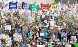 Anti-Trump Rallies, US, Donald Trump, United States, Washington, Elon Musk, Economy, White House, Americans,