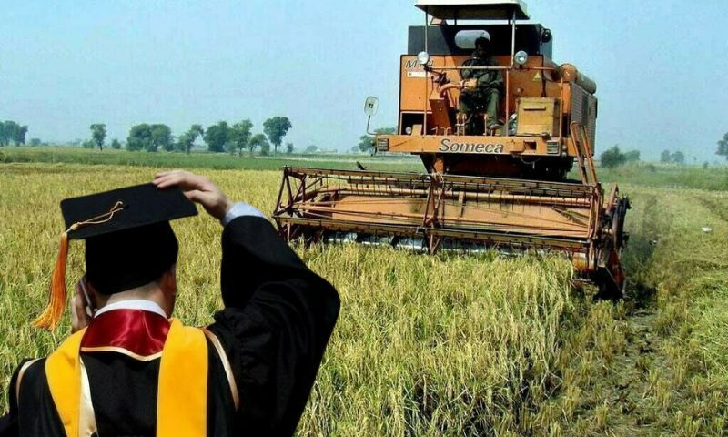 Agriculture Graduates, Pakistan, China, Agriculture, Prime Minister, Shehbaz Sharif,
