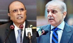 Pakistan, President, Prime Minister, Zardari, COVID-19,