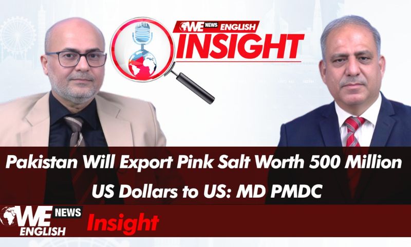 Pakistan Will Export Pink Salt Worth 500 Million US Dollars to US: MD PMDC