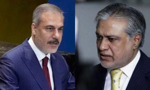 Pakistan, Türkiye, Egypt, India, Pahalgam, Kashmir, Ishaq Dar, Foreign Minister