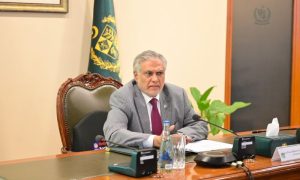 Pakistan, Deputy Prime Minister, IIOJK, Indus Waters Treaty, PIC, Pahalgam,