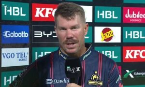 David Warner