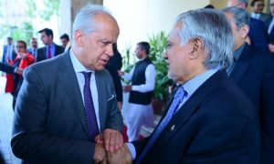 Pakistan, Italy, India, Ishaq Dar, Mohsin Naqvi, Air Strikes