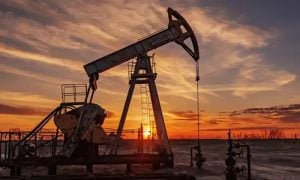 Oil