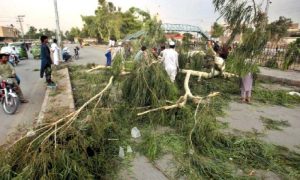 Pakistan windstorm 1