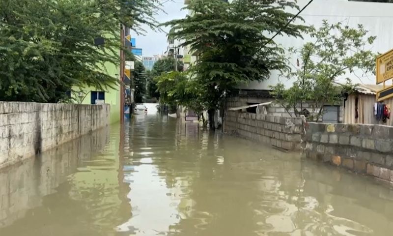 Rain