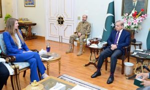 Pakistan, Pahalgam, India, Jammu and Kashmir, UK, Investigation,