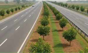 Pakistan, Climate Change, Minister for Communications,