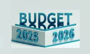 Pakistan, Budget, Pakistan Economic Survey, IMF, EFF,