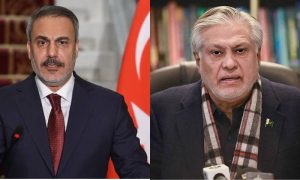 Pakistan, Deputy Prime Minister, Bunyan-un-Marsoos, India, IIOJK, Turkiye, Erdogan,
