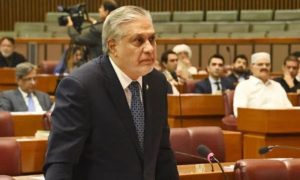 Pakistan, India, Senate, Deputy Prime Minister, Ceasefire, US, Indus Waters Treaty,