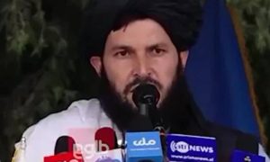 Afghan Taliban, Afghanistan, Kabul, TTP, Terrorists, Jihad, Pakistan, Islamabad, US, UN