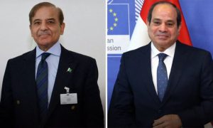 Pakistan, Shehbaz Sharif, Egypt, India, South Asia, Gaza, Abdel Fattah Al-Sisi