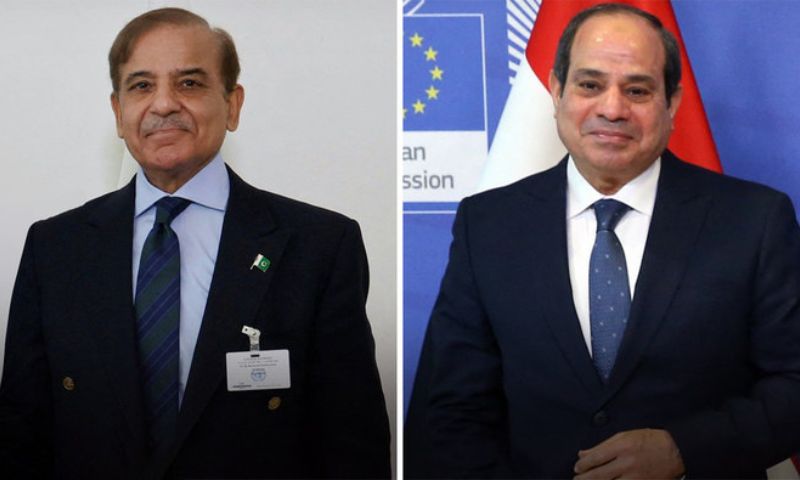 Pakistan, Shehbaz Sharif, Egypt, India, South Asia, Gaza, Abdel Fattah Al-Sisi