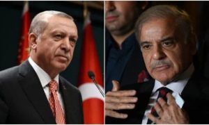 Pakistan PM, President Erdogan Discuss Israel-Iran Conflict