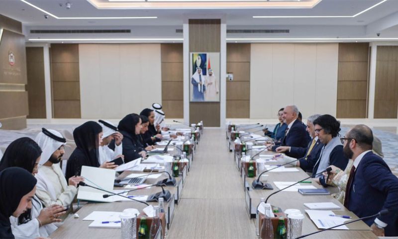 Faisal Tirmizi, Pakistan, UAE, Joint Ministerial Commission, Deputy Prime Minister, Joint Task Force,