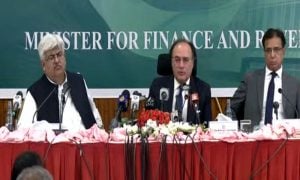 Pakistan, Budget, Finance Minister, Muhammad Aurangzeb, Trade, Tariffs, Pensions, Salaries
