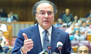 Finance Minister, reforms, IMF, circular debt, privatisation, digitalisation