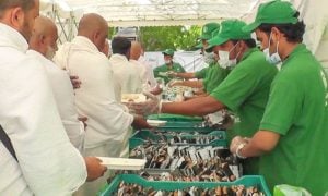 Saudi, Hajj, Pilgrims, Hajj Season, Government,