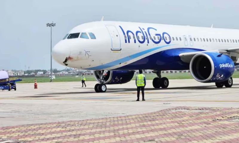 IndiGo