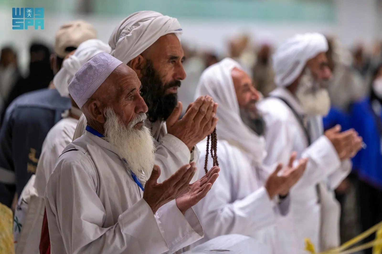 Pilgrims 