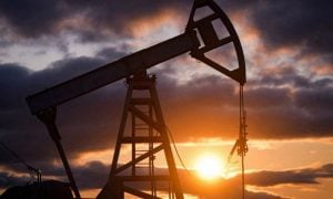 Oil