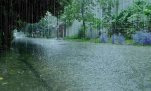 Rain