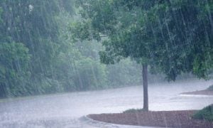 Rain Prediction