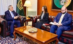 Pakistan, US, Deputy Prime Minister, Foreign Office, US Centcom, TTP,