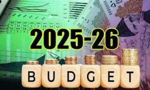 Budget, Defence, Salaried, Non-filers, Government, Inflation