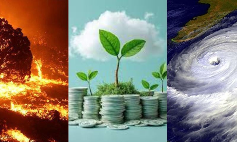Pakistan, Climate Change, Economic Survey, IMF, Green Sukuk, CPEC, Carbon Market Policy,