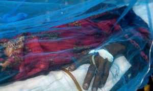 Pakistan, CCHF, Congo Virus, WHO,