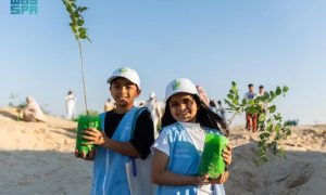 Saudi Arabia, Saudi Green, NCVC, National Centre for Vegetation,