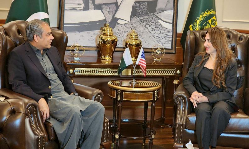 Pakistan, US, Trump, Army Chief, Gaza, Prime Minister, US Secretary of State, Pakistan