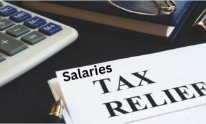 Pakistan, Federal Budget, Muhammad Aurangzeb, Salaried Class, Tax Relief, Government