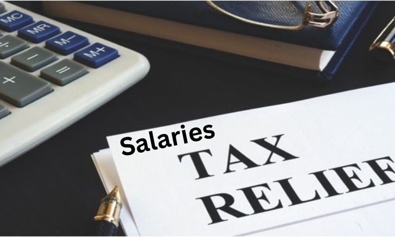 Pakistan, Federal Budget, Muhammad Aurangzeb, Salaried Class, Tax Relief, Government