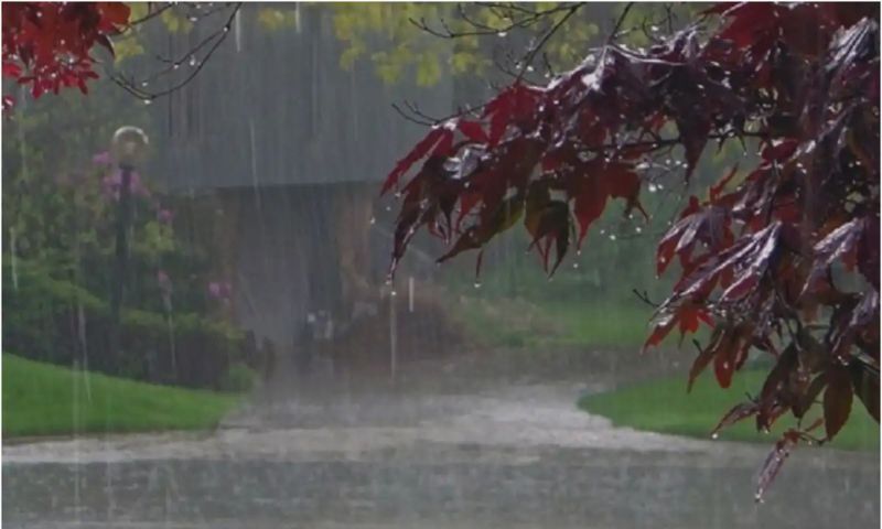Pakistan, Monsoon Rains, Islamabad, Punjab, Khyber Pakhtunkhwa, Punjab, Kashmir