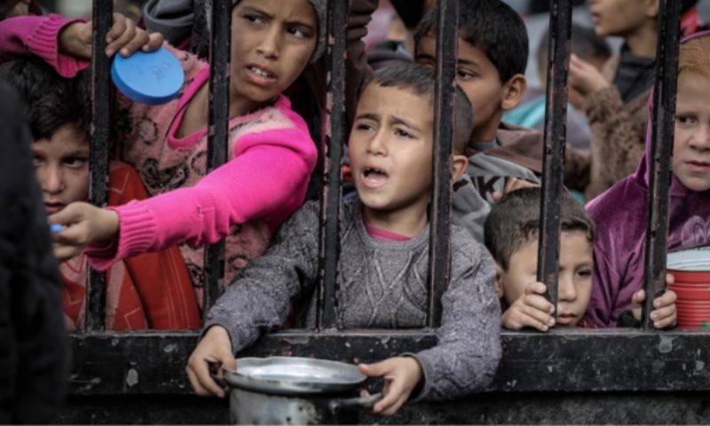 Aid, UNICEF, Food, Gaza, Hunger, Israel, Palestinians, Starvation, UN, US,