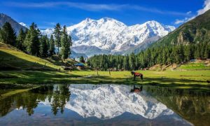 Pakistan