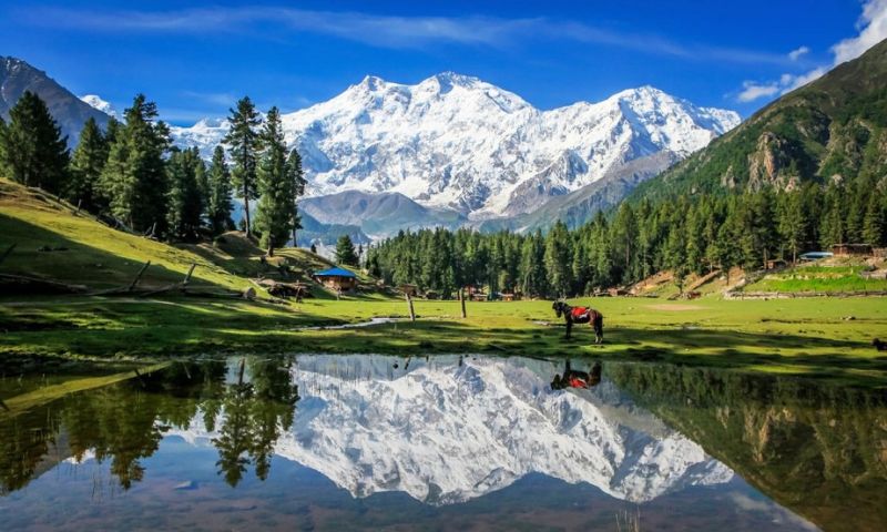Pakistan