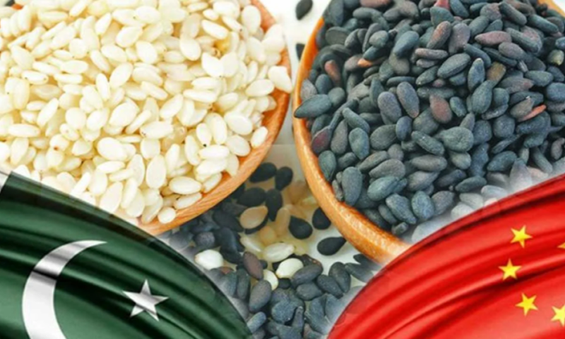 Pakistan's Sesame Exports to China Jump 300pc in First Half of 2025