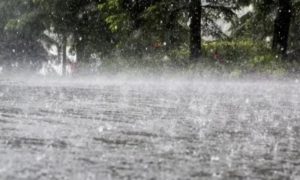 Rain