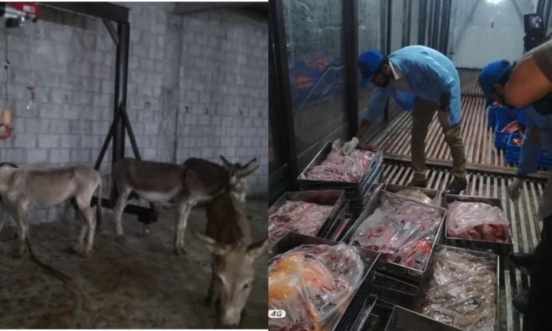 Donkey Meat, Islamabad, Tarnol, Pakistan, Police, Chinese, Markets, Restaurants,