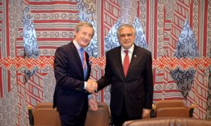 Pakistan, Austria, United Nations, Deputy Prime Minister, UN,