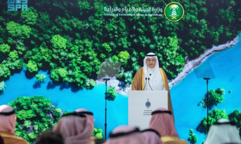 Saudi Green Initiative, National Environment Strategy, UN Water Committee, Saudi Arabia, Vision 2030,