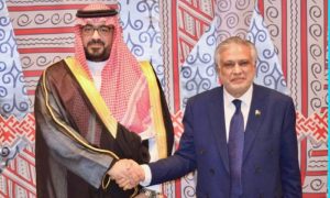 Pakistan, Saudi Arabia, Crown Prince, United Nations, Gaza, Prime Minister,