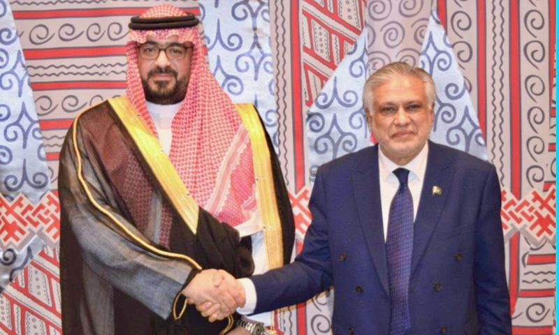 Pakistan, Saudi Arabia, Crown Prince, United Nations, Gaza, Prime Minister,